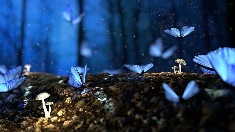 Enchanted Forest of Eldoria