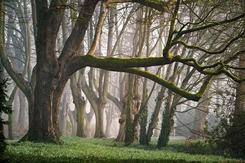 Fairy Glen Valley